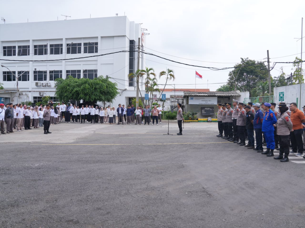 WhatsApp Image 2025-10-29 at 18.14.01