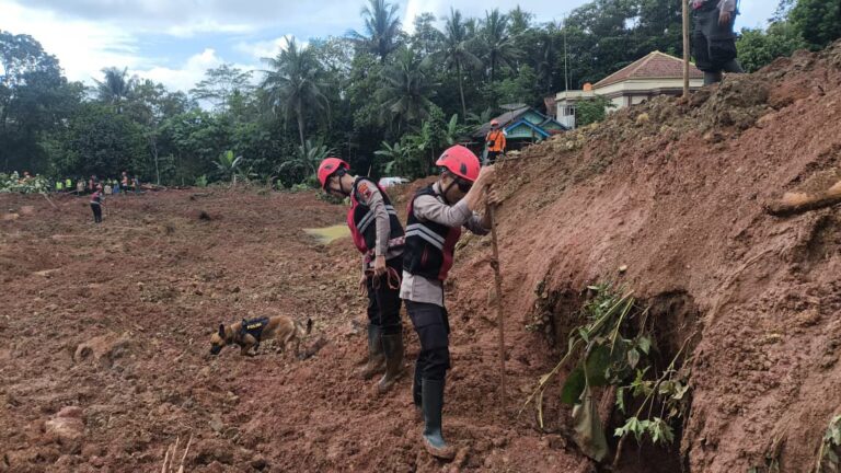 WhatsApp Image 2025-11-15 at 17.18.28