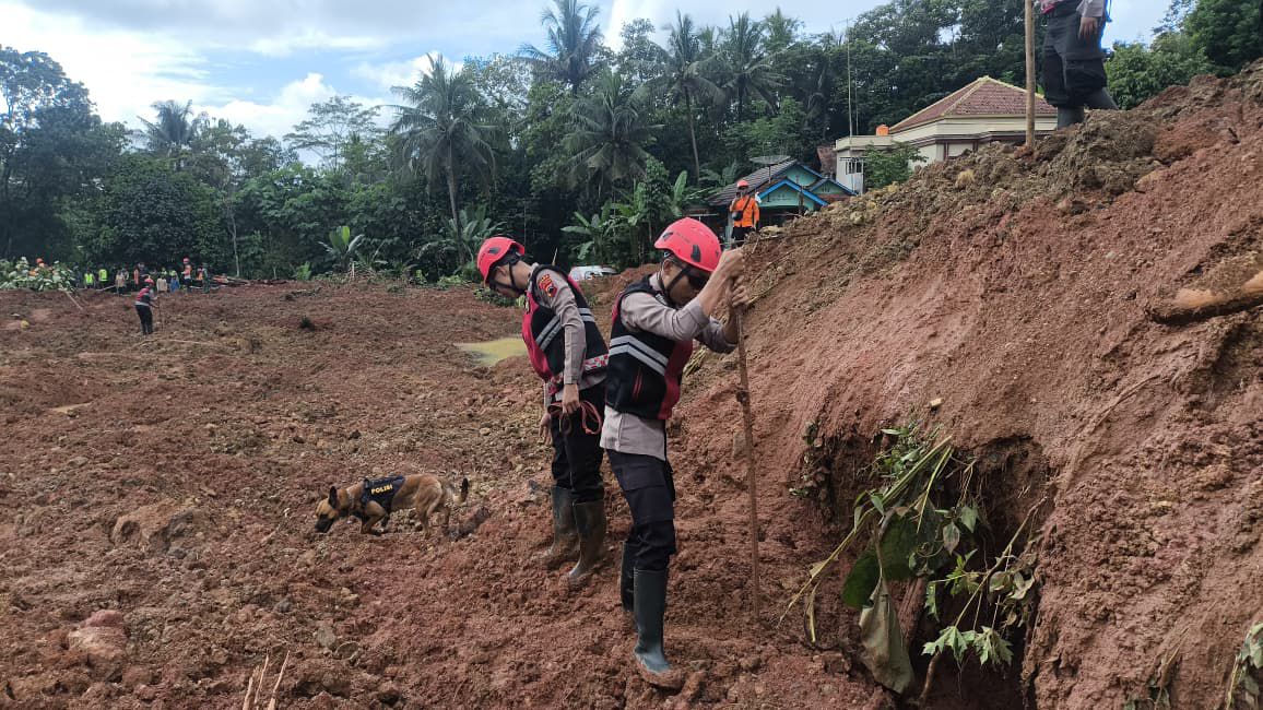 WhatsApp Image 2025-11-15 at 17.18.28