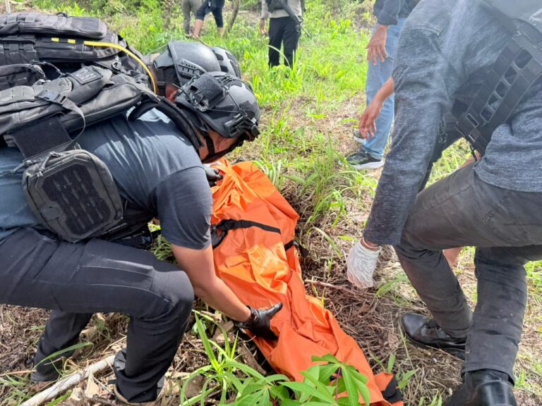 WhatsApp Image 2025-11-20 at 17.22.25 (1)