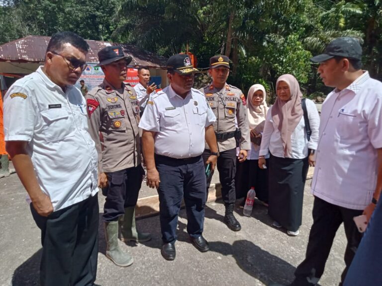 WhatsApp Image 2025-12-24 at 20.22.24