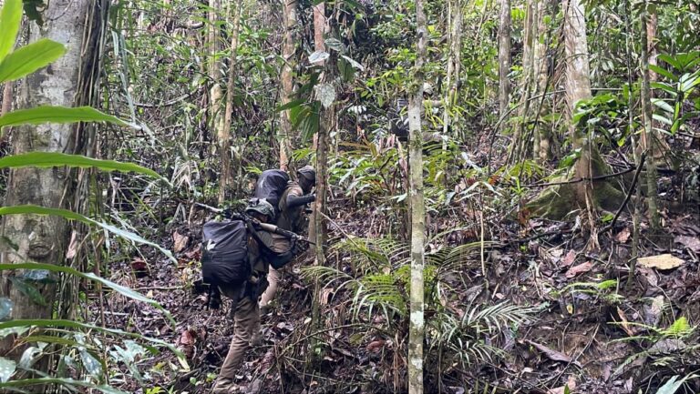 Aparat Gabungan TNI–Polri Tindak Anggota KKB Pimpinan Aibon Kogoya di Bukit Signal Nabire