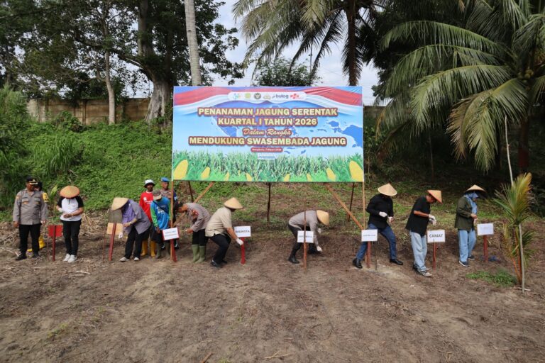 WhatsApp Image 2026-03-07 at 19.57.03