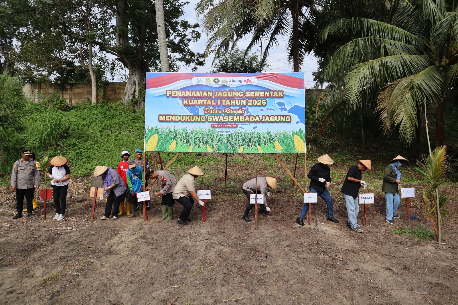 WhatsApp Image 2026-03-07 at 19.57.03